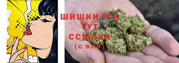 Альфа ПВП Нея