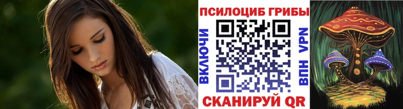Псилоцибиновые грибы Psilocybine cubensis Кировград