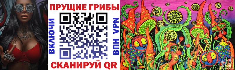 Галлюциногенные грибы MAGIC MUSHROOMS  Купить закладки  Кировград 